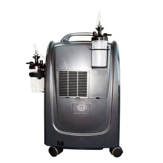 Oxygène pour animal Concentrateur d'oxygène portable à double flux 10l pour hôpital pour animaux de compagnie