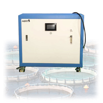 Sauerstoffgenerator für Fischaquarien, kundenspezifischer Sauerstoffkonzentrator, industrielle Sauerstoffquelle