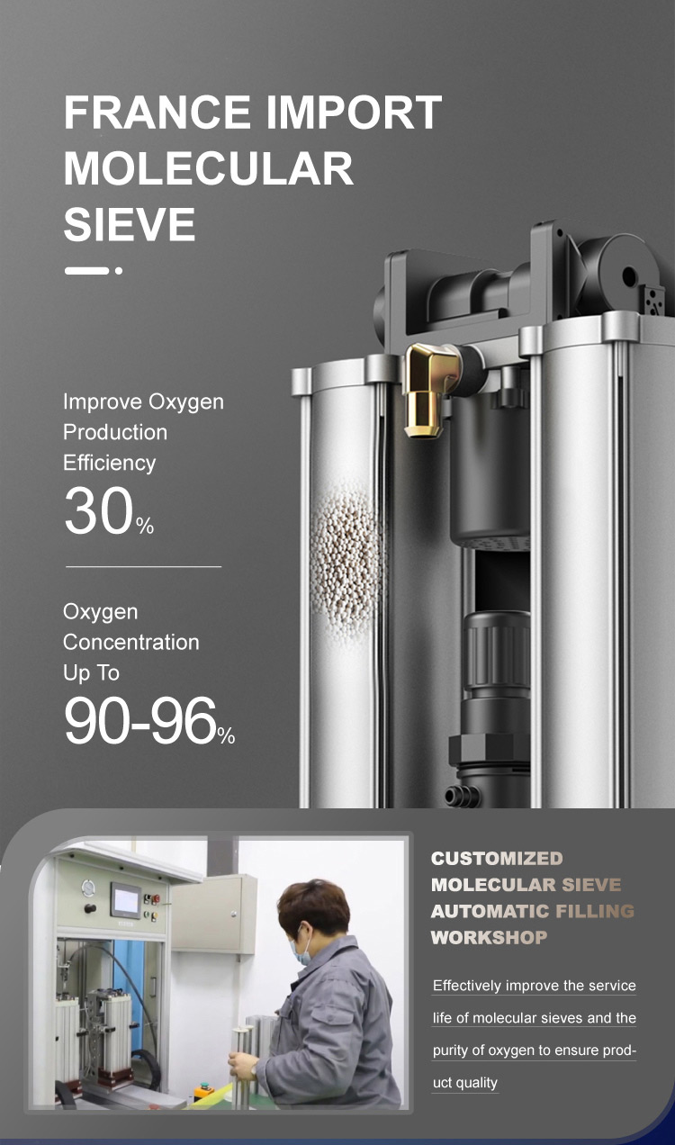 10l oxygen concentrator for LTOT