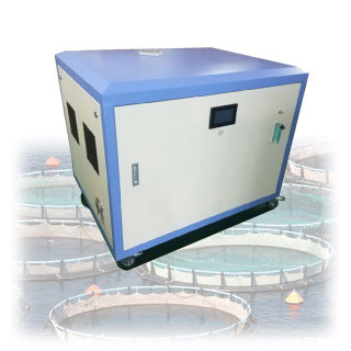 Fischteich-Oxygenatoren mit Trockner 20 l 40 l 60 l 80 l Tragbarer Sauerstoffkonzentrator ab Werk
