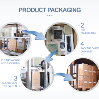 Vet Medical Oxygen Machine Psa Concentratore di ossigeno veterinario per terapia animale