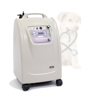 Oxygène pour animal Concentrateur d'oxygène portable à double flux 10l pour hôpital pour animaux de compagnie