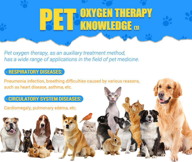 Pet oxygen therapy