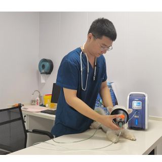 AM-3 Mini concentrador de oxigênio para animais de estimação, clínica veterinária, cão, gato