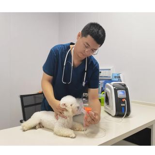 AM-3 Mini concentrador de oxigênio para animais de estimação, clínica veterinária, cão, gato