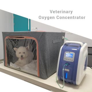 AM-3 Mini concentrador de oxigênio para animais de estimação, clínica veterinária, cão, gato