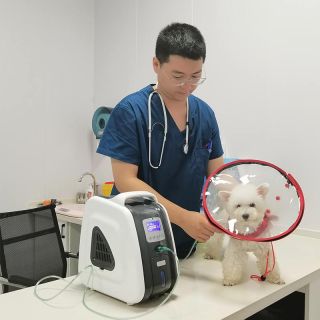 AM-3 Mini concentrador de oxigênio para animais de estimação, clínica veterinária, cão, gato