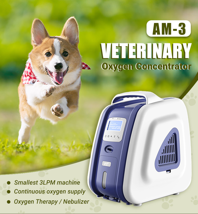 animal oxygen concentrator