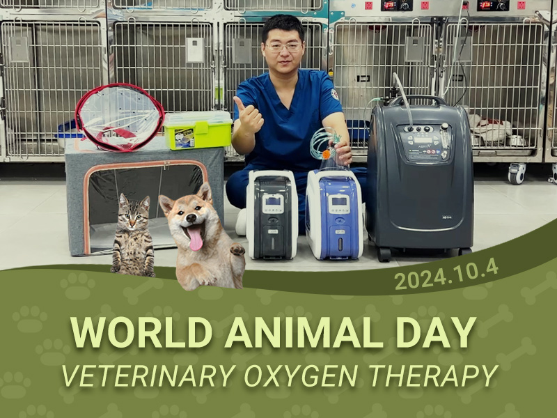 Veterinary Oxygen Therapy