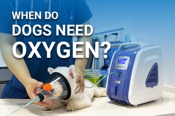 Wann brauchen Hunde Sauerstoff?