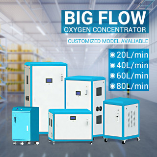Oxygen Generator 40l OEM Metal Case High Output Oxygen Generator