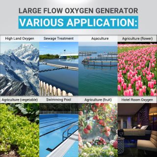 Oxygen Generator 40l OEM Metal Case High Output Oxygen Generator