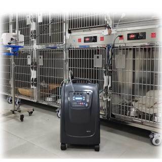 Generatore di ossigeno per uso veterinario all'ingrosso, generatore di ossigeno per la cura degli animali