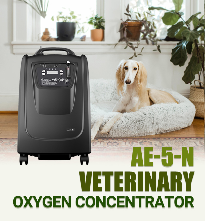 Veterinary Oxygen Concentrator