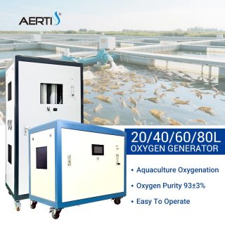 80L Oksijen Jeneratörü Fiyatı Endüstri Kullanımı Oksijen Konsantratörü