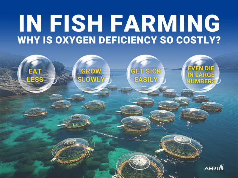 oxygen generator oxygen generator