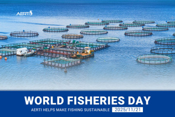اليوم العالمي لمصايد الأسماك: أيرتي تساعد في جعل الصيد مستدامًا
