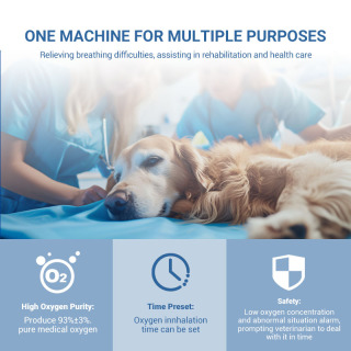 جهاز توليد الأكسجين المحمول للعيادات البيطرية