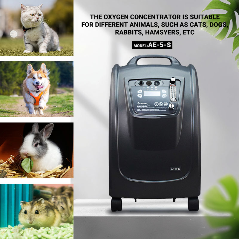 oxygen concentrator for hospital oxygen concentrator for hospital