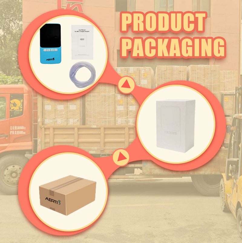 Portable Oxygen Analyzer