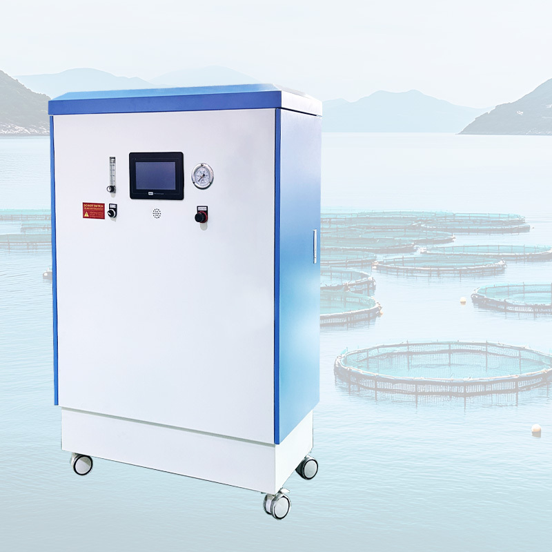 Aquaculture Oxygen Generator Large Flow Oxygenerator With Dryer