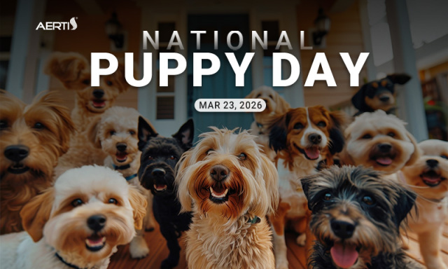 National Puppy Day: Prepare a Healthy Gift of Care for Your Beloved Pet