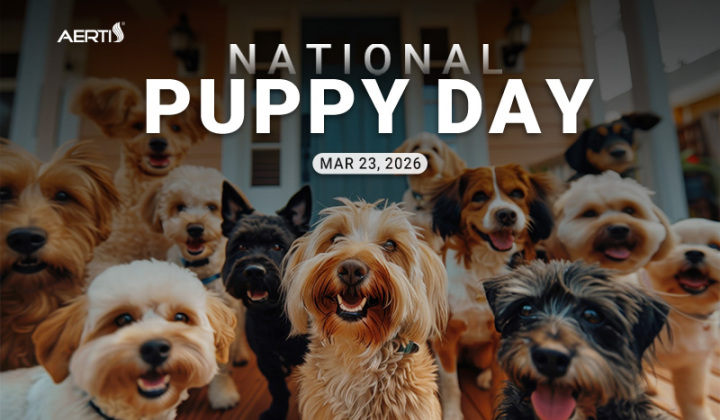 قومی کتے کا دن: اپنے پیارے پالتو جانوروں کی دیکھ بھال کا ایک صحت مند تحفہ تیار کریں۔