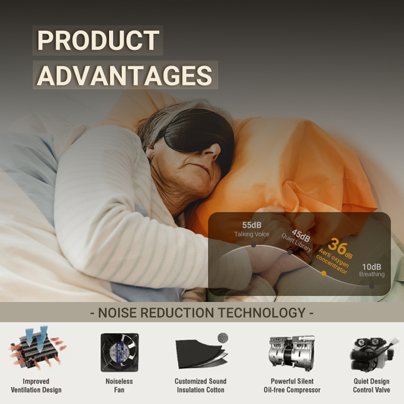 PSA Oxygen Concentrator