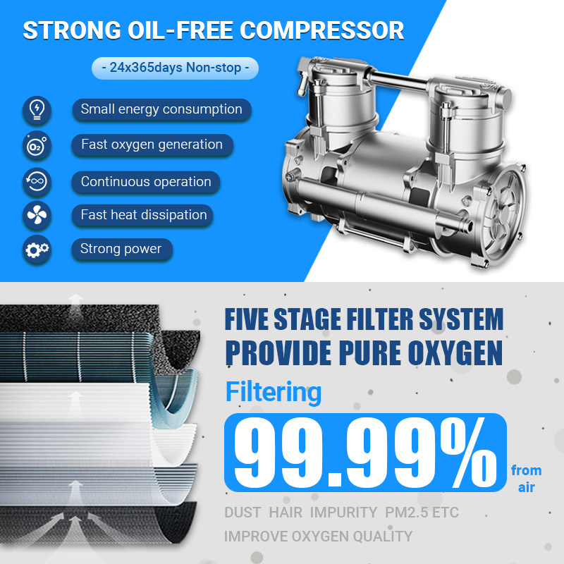 PSA Oxygen Concentrator