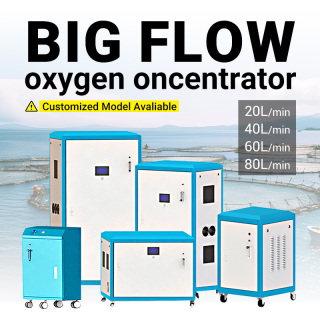 Concentrateur d'oxygène à haut débit - Prix - Concentrateur d'oxygène haute pression