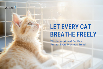 This International Cat Day, Let Every Cat Breathe Freely