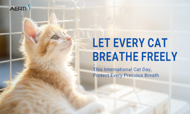 This International Cat Day, Let Every Cat Breathe Freely