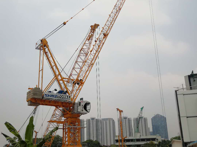 Chinese Top Brand 50 Ton Luffing-Jib Tower Crane L630-50 in Low