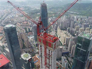 32 Ton Jib 60m Height 42m Luffing Tower Crane
