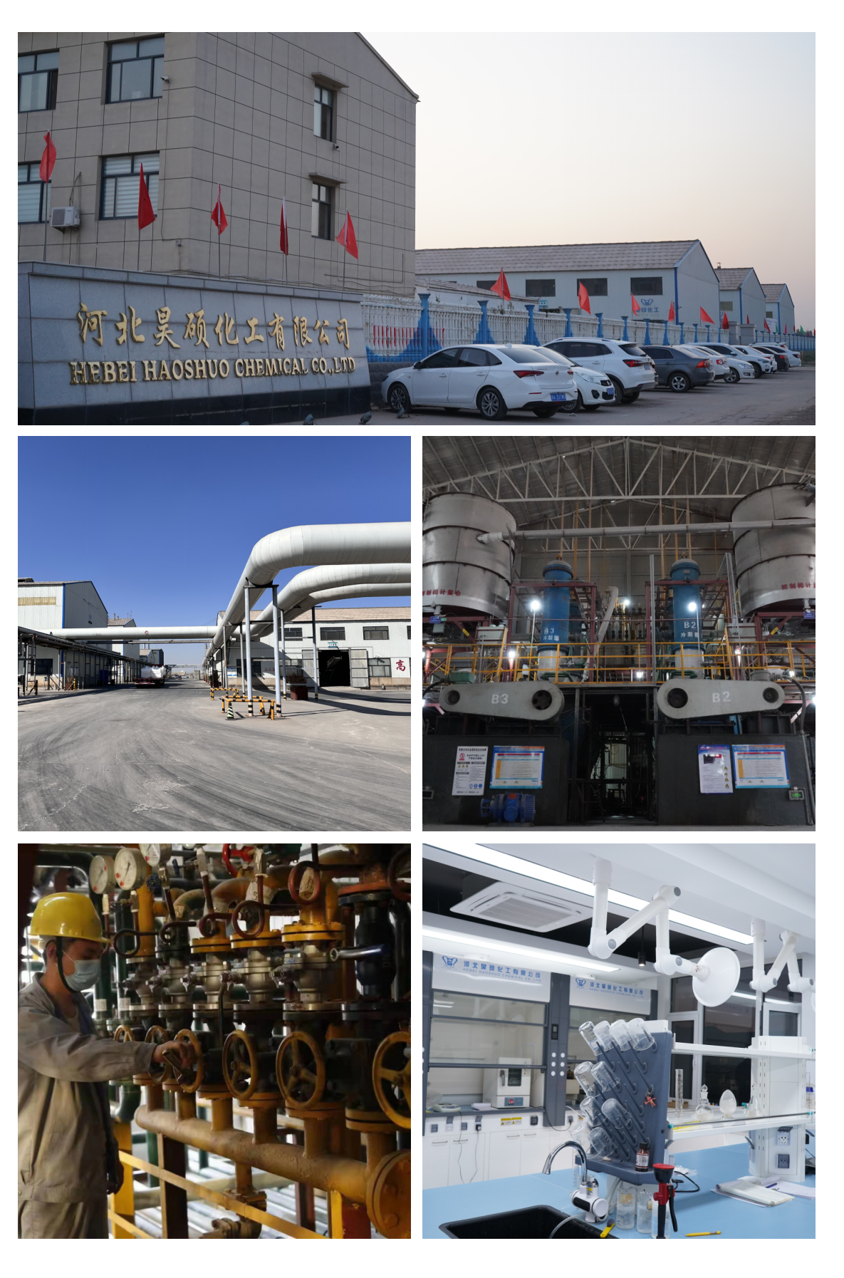 Exhibition Exhibition