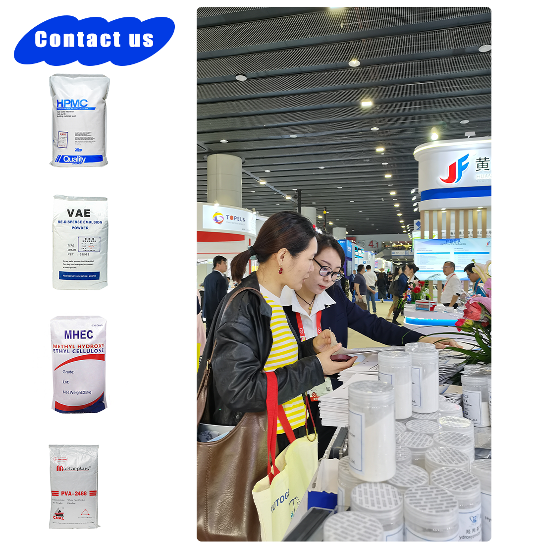 Exhibition Exhibition