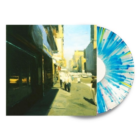 Disco in vinile