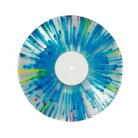 Vinyl Record Disc