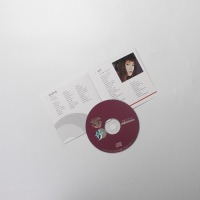 博士 52x CD ディスク ブランク CD 700mb 日付記録と音楽用