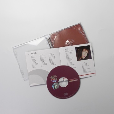 博士 52x CD ディスク ブランク CD 700mb 日付記録と音楽用