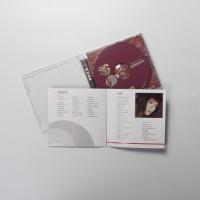 博士 52x CD ディスク ブランク CD 700mb 日付記録と音楽用