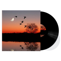 Fabrikant van zwarte vinylplaten