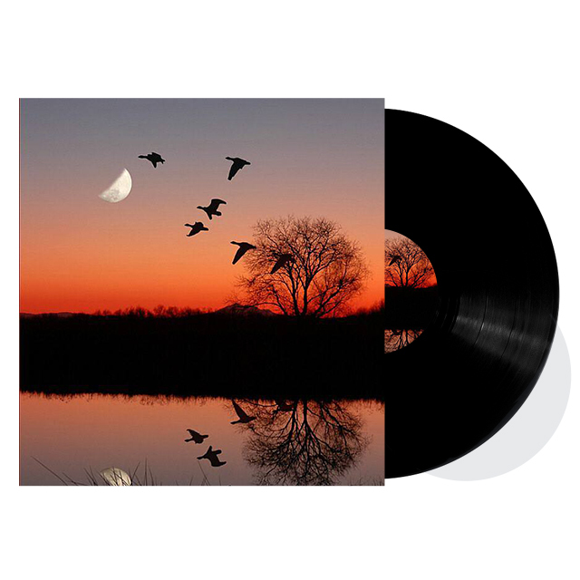 Fabrikant van zwarte vinylplaten