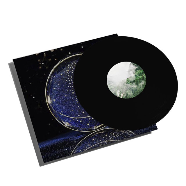 Fabrikant van zwarte vinylplaten