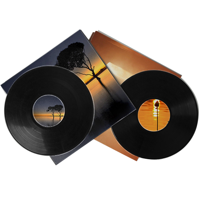 Fabrikant van zwarte vinylplaten