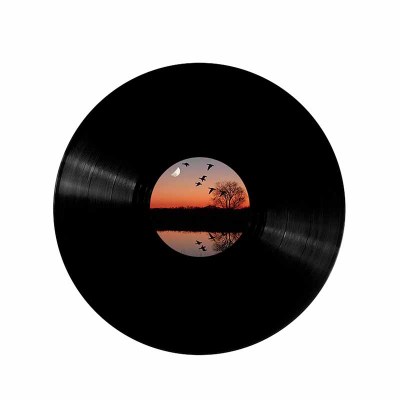 Produttore di dischi in vinile nero