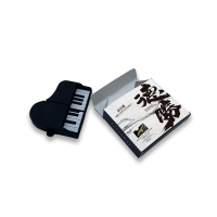 USB 32gb 64gb 128gb flash drive custom logo music album
