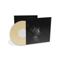 カラービニールレコード カスタム オレンジ ブルー グリーン 無地