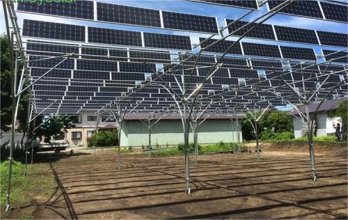 New Model of Photovoltaic Agriculture Mounting structures