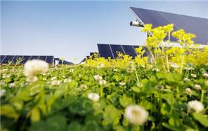 Bureau of Land Management proposes fee cuts, streamlined renewable energy development on public lands